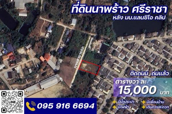 �ź��� �� kulchaya1