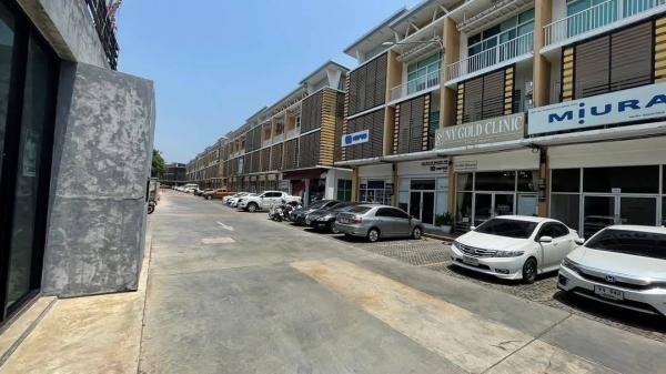 �ҧ�� �� northern1