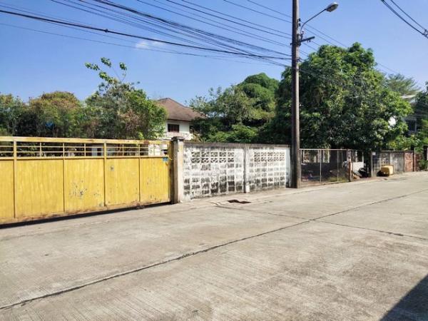 �ҧࢹ �� asangha PL