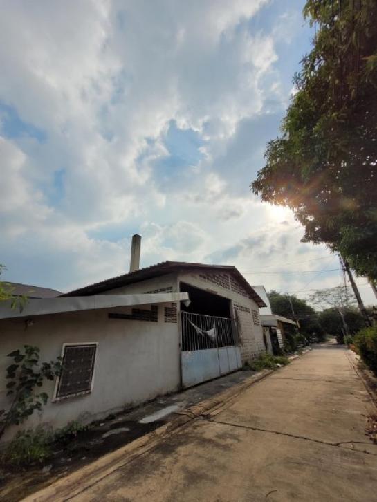 �ç�ҹ������ ˹ͧ����ا෾