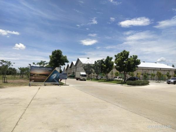 �����һ����ҹ� �� asangha PL