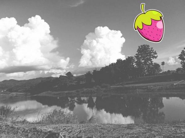 ที่ดิน น่าน ที่ดิน น่าน