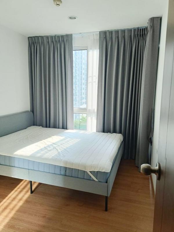 �͹�Onnut �Ѳ��