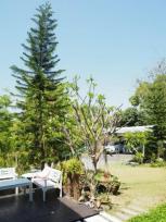 ��� ��ҹ �������