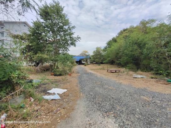 ��ªź��� �� ritthichai