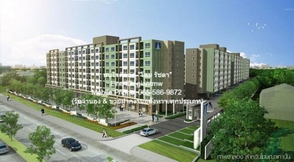 ��ا෾ �� domepost66