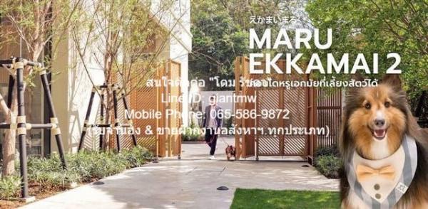 �Ѳ�� �� domepost66