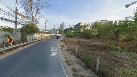 ���ͧ �� incube