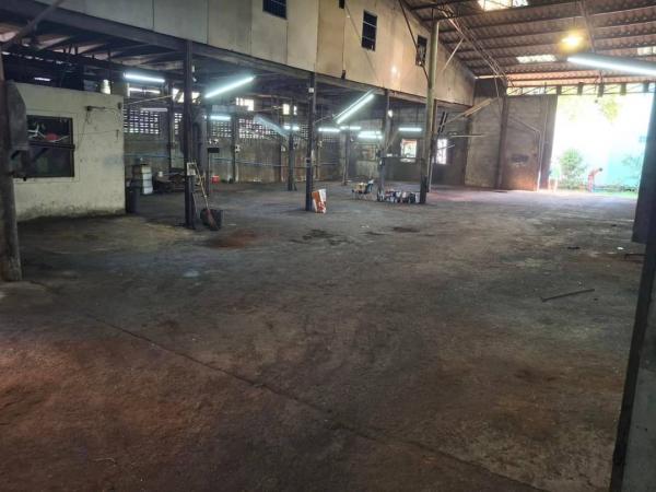 �����ҹ� �� 1000property