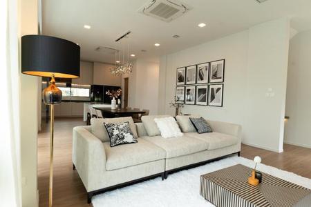 �оҹ�٧ �� incube