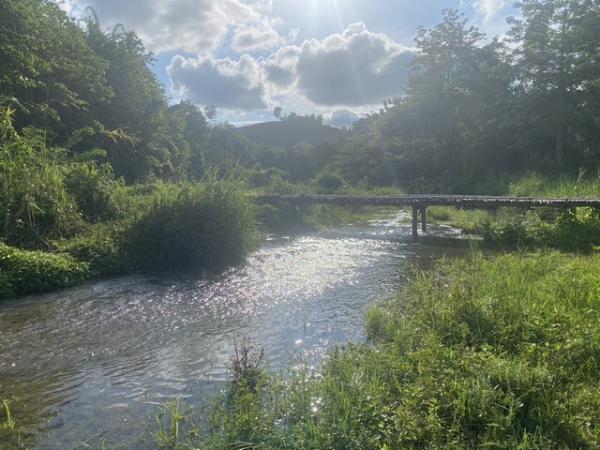 ที่ดิน น่าน ที่ดิน น่าน