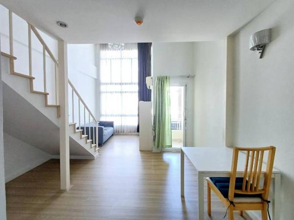 �Ң�ѭ �Ź�����