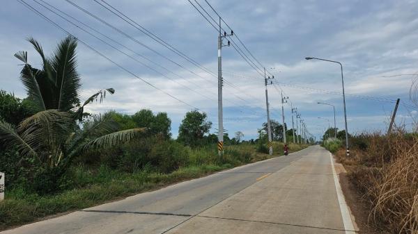 ����Ҫ� �� goodlada24