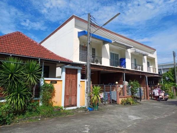 ���� �� kulchaya1