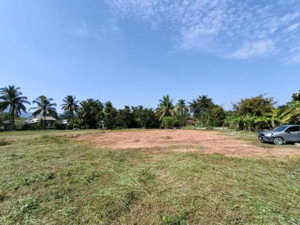 ��§��� �� sopa