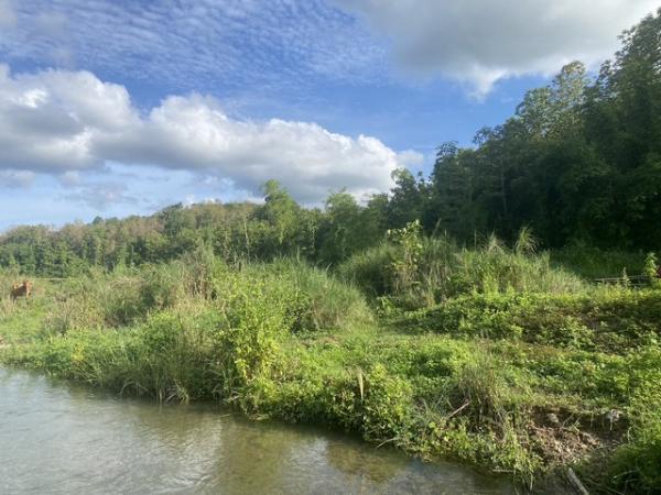 ที่ดิน น่าน ที่ดิน น่าน