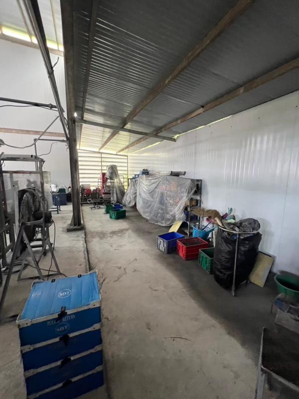 ���⡴ѧ ��ҹ���� ���ͧ