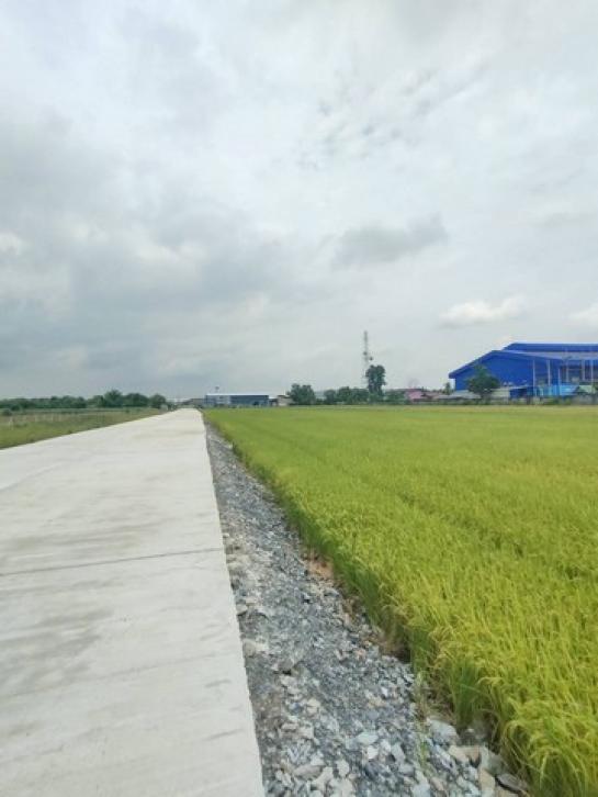 ��ͧ��ǧ �� coasset22