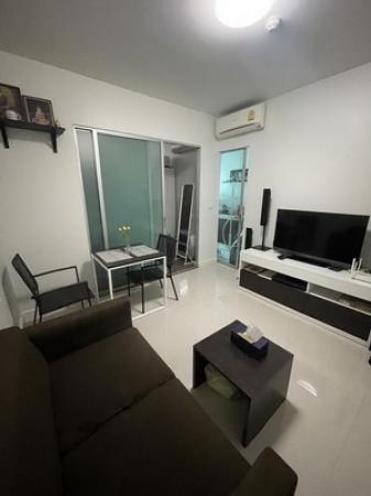 ��¤͹� ���: