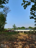 ��� ���Թ �ҡ��� �������