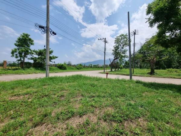 ���Թ������ �� Sawasdee