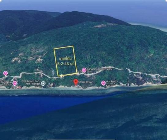 ��оЧѹ �� Estate Corner