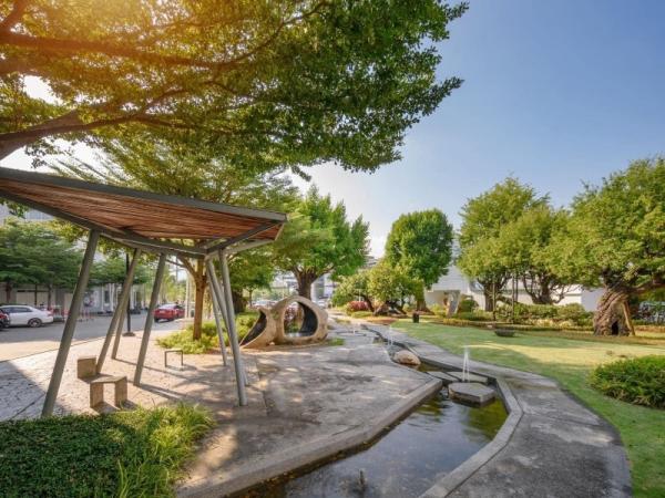 �Ң�ѭ �Ź�����