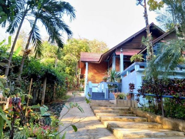 ������ �� �Ң�ѭ �Ź�����