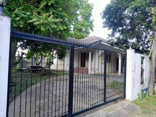 ˹ͧ��� �� zionasset1