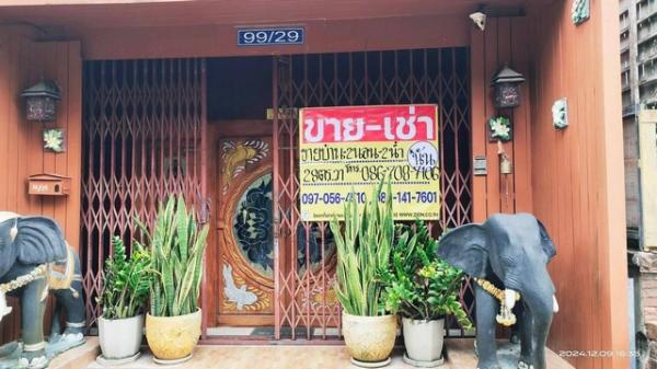 ���ʧ��� �� zionasset1