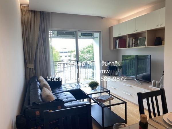 �͹��Ѫ�� ���⢹�