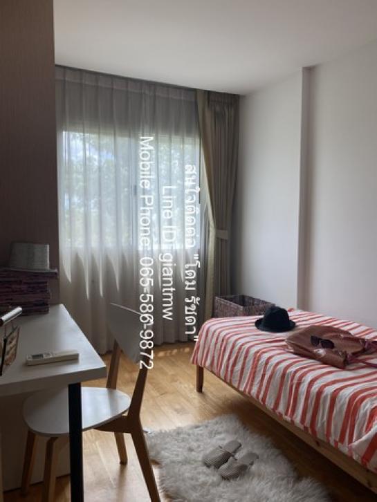 �͹ⴡ�ا෾��ҹ�� ���⢹�