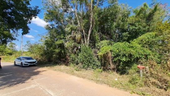 ����Ҫ���� �� Estate Corner