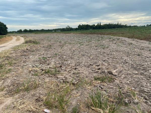 ������ͧ �� goodlada24