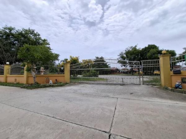 ��ªź��� �� 1000property