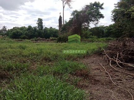 ��·��Թ ���ͧ��������