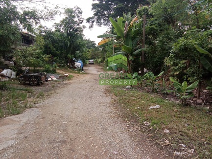 ��·��Թ ���ͧ��������