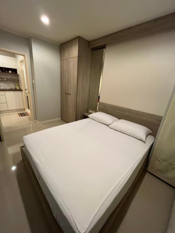 �͹� ����