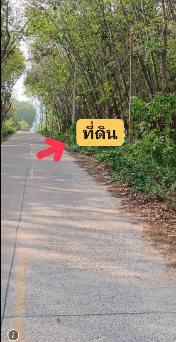 ����Ҫ� �� goodlada24