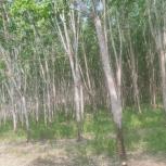 ��·��Թ �Ҥһ�С�Ȣ�� 2,000,000 �ҷ