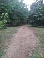 ��·��Թ �Ҥһ�С�Ȣ�� 40,500,000 �ҷ