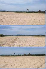 ��·��Թ �Ҥһ�С�Ȣ�� 3,300,000 �ҷ