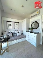 ��¤͹� �ҧ������