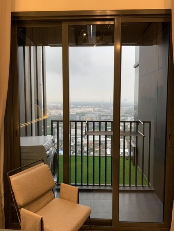 �͹�����ͧ�ѡ��� ���⢹�