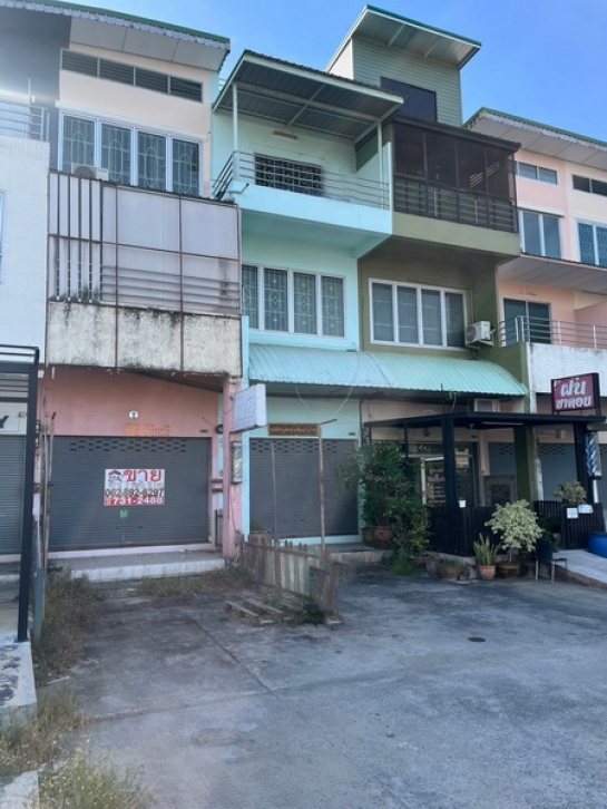 ����Ҥ�þҳԪ�� �ҧ��Ƿͧ�������