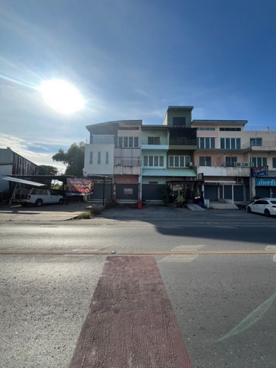 ����Ҥ�þҳԪ�� �ҧ��Ƿͧ�������