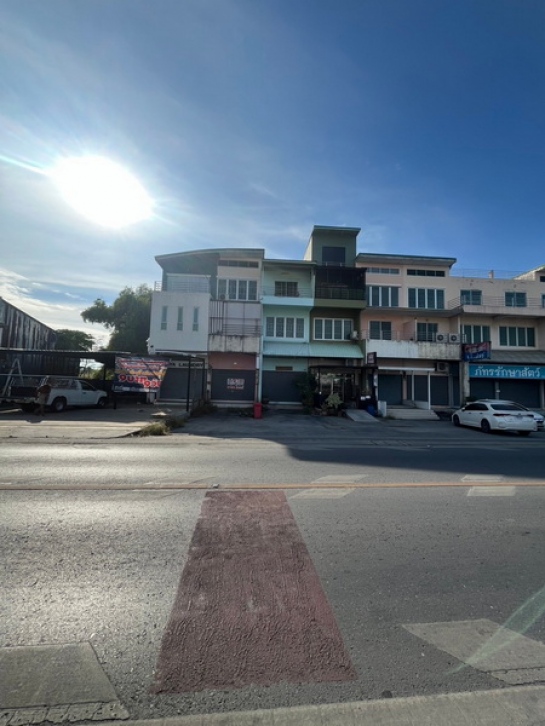 ����Ҥ�þҳԪ�� �ҧ��Ƿͧ�������