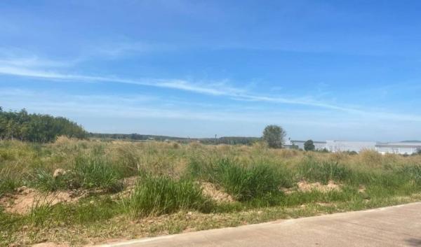 ����Ҫ� �� goodlada24