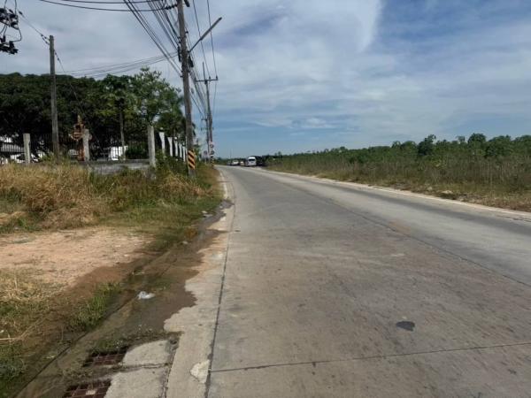 ����Ҫ� �� goodlada24