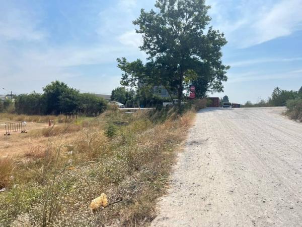 ����Ҫ� �� goodlada24